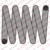 FORD 1075917 Coil Spring